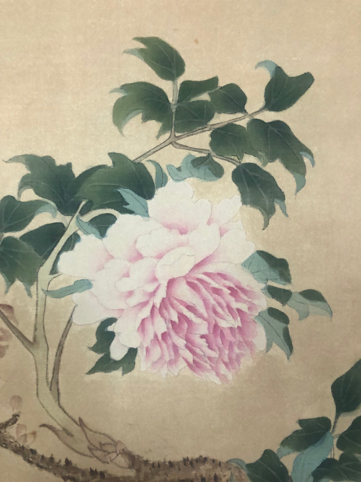 A Chinese Ink Painting Hanging Scroll By Shen Quan