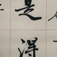 A Precious Chinese Ink Calligraphy Piece By Zhao Puchu