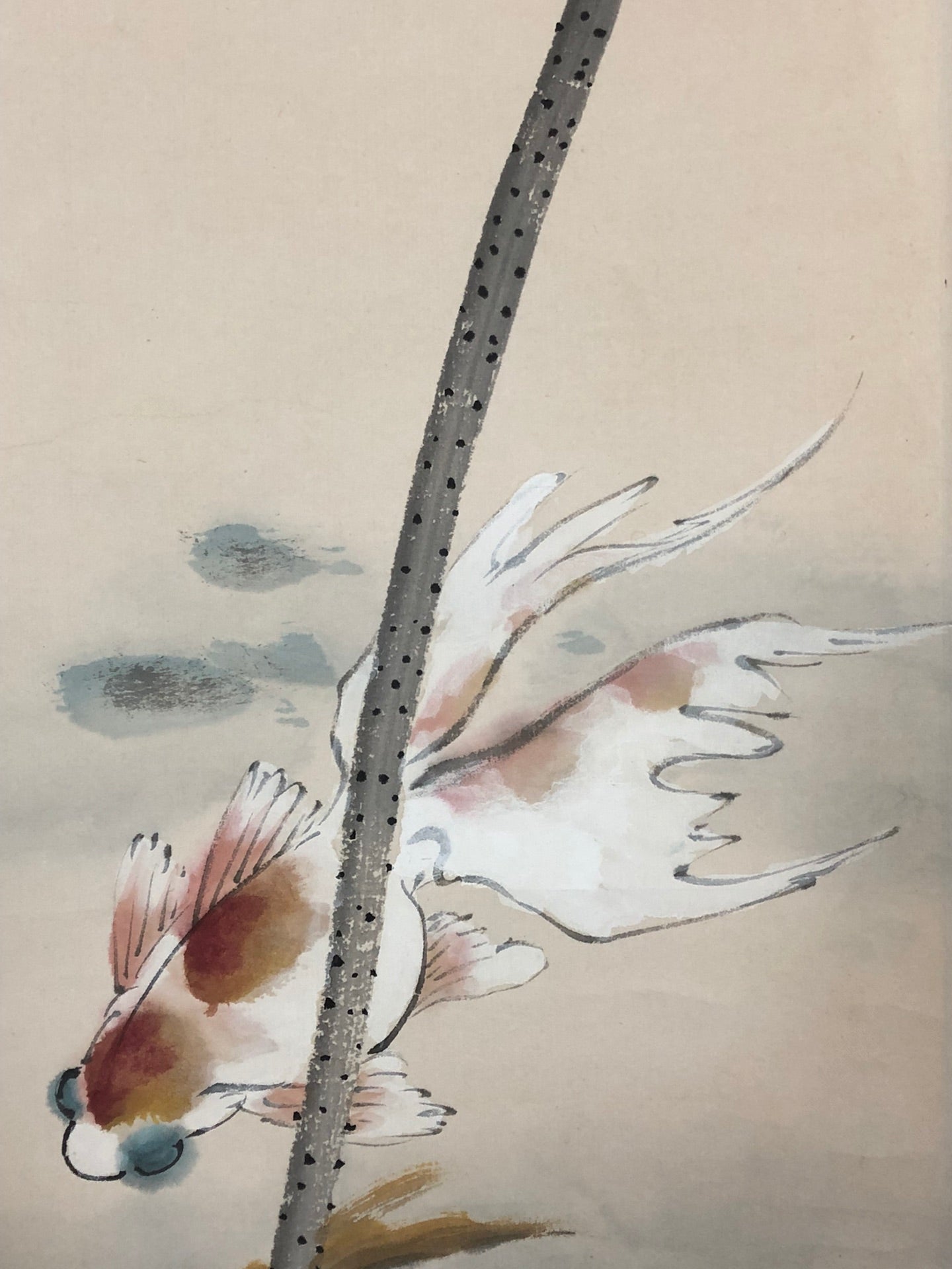 An Exquisite Chinese Ink Painting Hanging Scroll By Zhao Shaoang