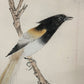 A Gorgeous Chinese Ink Painting Hanging Scroll By Yu Feian