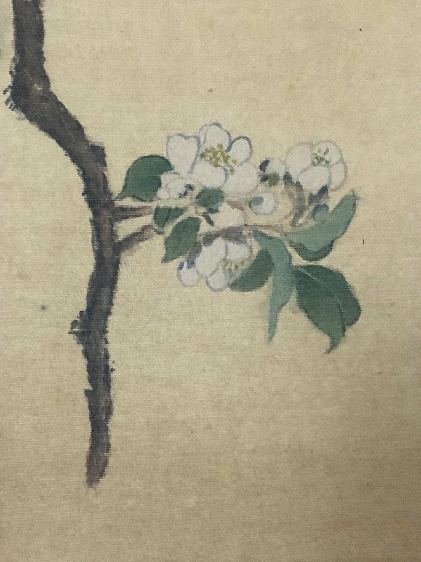 A Gorgeous Chinese Ink Painting Hanging Scroll By Jiang Tingxi