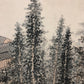 A Gorgeous Chinese Ink Painting Hanging Scroll By Qi Gong