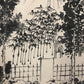 A Wonderful Chinese Ink Painting Hanging Scroll By Huang Ding