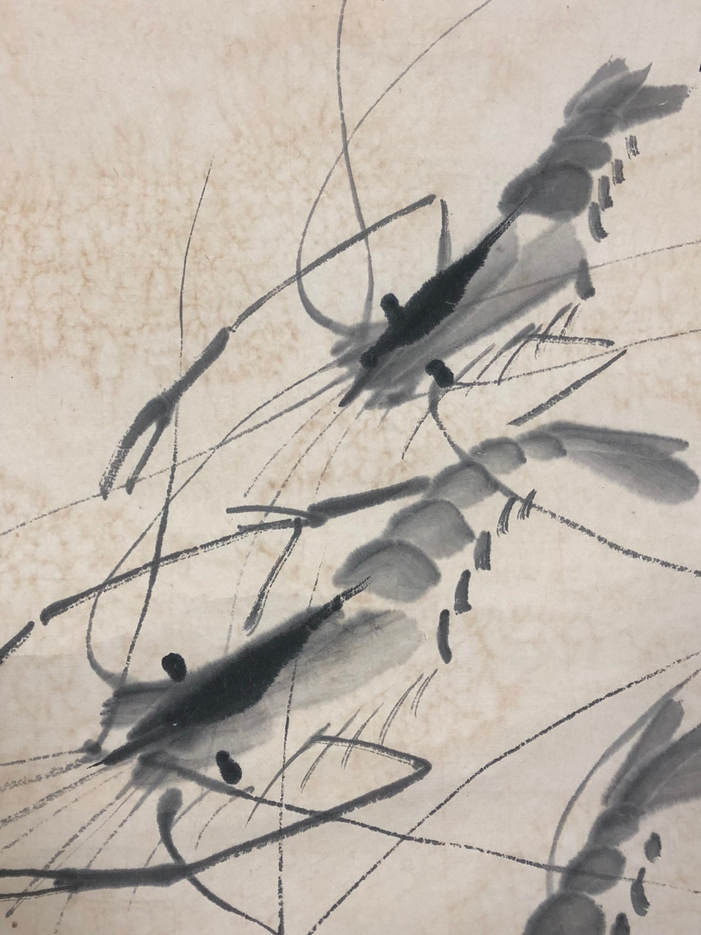 A Wonderful Chinese Ink Painting Hanging Scroll By Qi Baishi