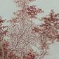 A Precious Chinese Ink Painting Hanging Scroll By Qi Gong