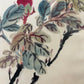 A Fabulous Chinese Ink Painting Hanging Scroll By Wang Xuetao