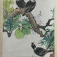 Four Gorgeous Chinese Ink Painting Hanging Scrolls By Yan Bolong