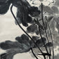 An Exquisite Chinese Ink Painting Hanging Scroll By Zhang Daqian