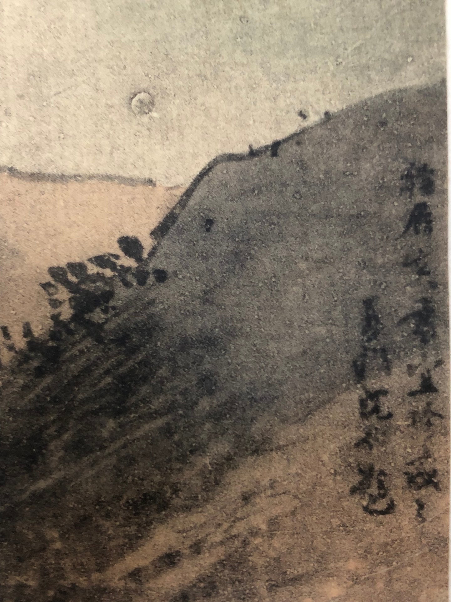 An Excellent Chinese Ink Painting Hanging Scroll By Du Jin