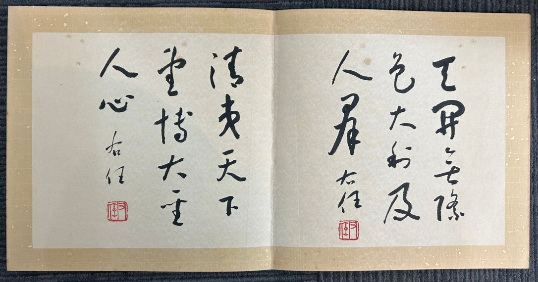 An Excellent Ten-Page Chinese Ink Calligraphy Book By Yu Youren