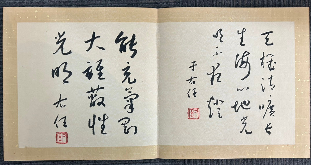 An Excellent Ten-Page Chinese Ink Calligraphy Book By Yu Youren