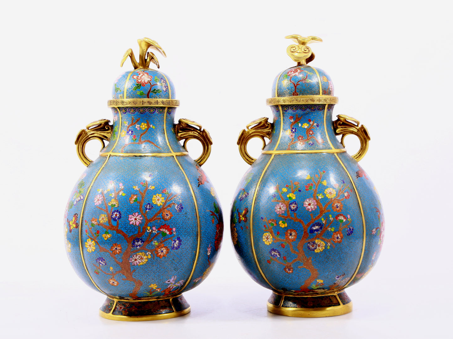 A pair of cloisonne flower and bird pattern amphora