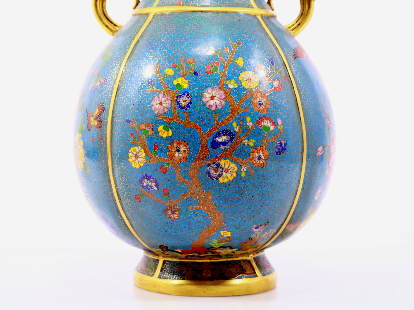 A pair of cloisonne flower and bird pattern amphora