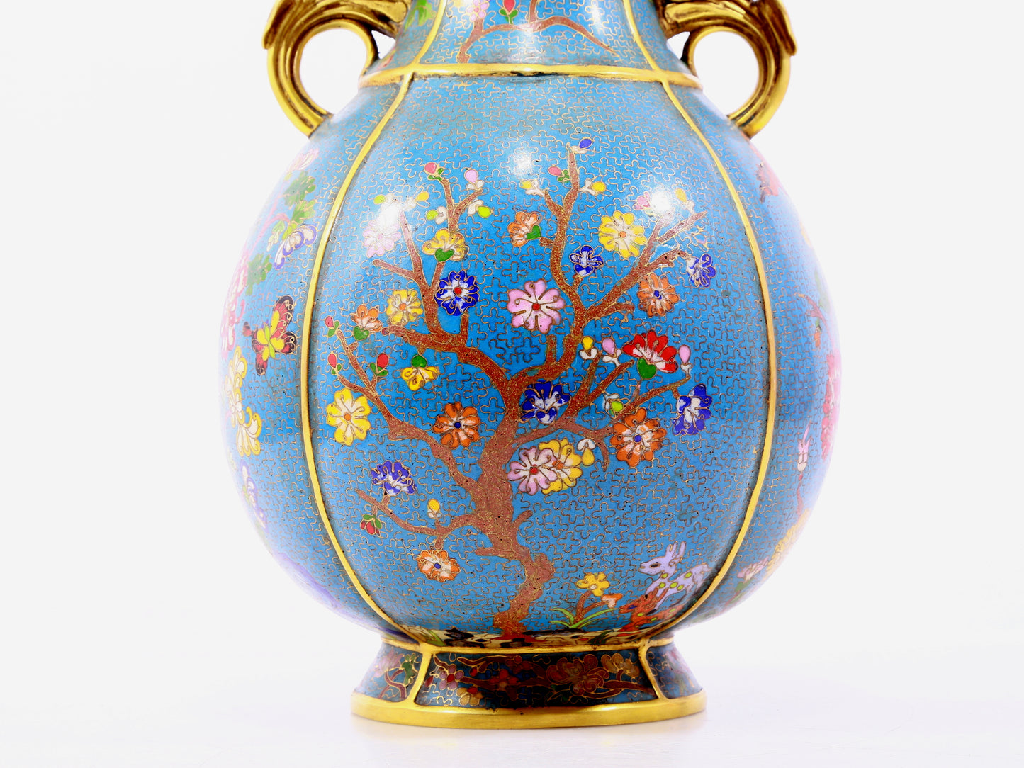 A pair of cloisonne flower and bird pattern amphora