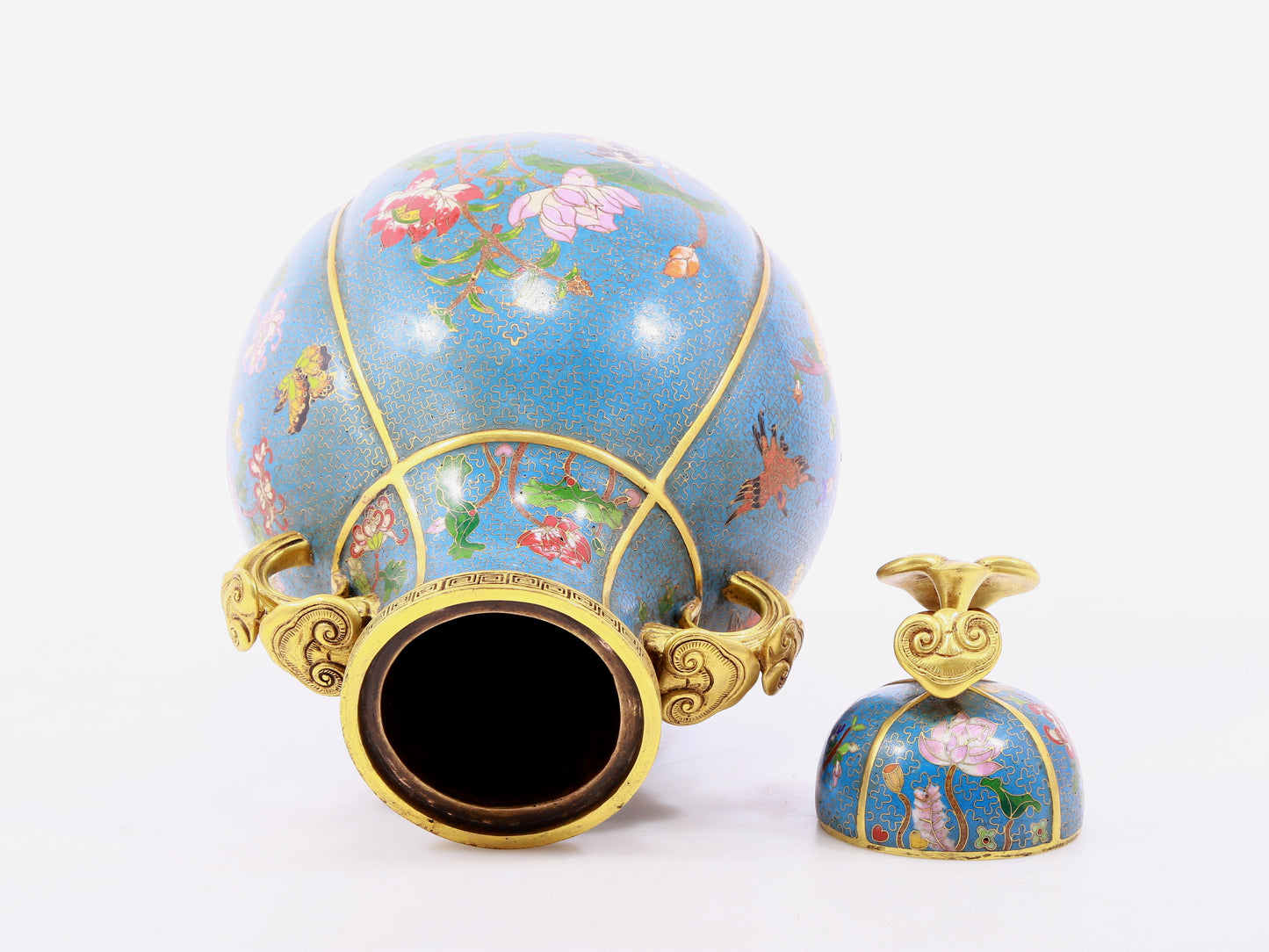 A pair of cloisonne flower and bird pattern amphora