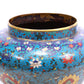 A cloisonné jar with lotus pattern