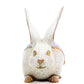 A Marvelous Cloisonne Rabbit