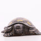 An exquisite bronze inlaid gold and silver turtle ornament