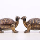 A pair of exquisite bronze-inlaid gold and silver auspicious animal boxes