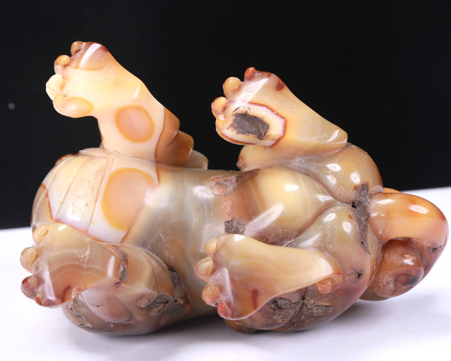 A Fabulous Agate Lion